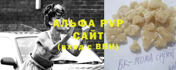 хмурый Аркадак