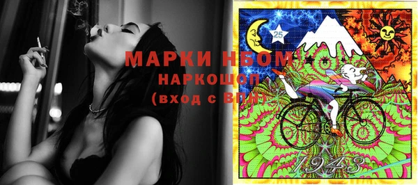 хмурый Аркадак
