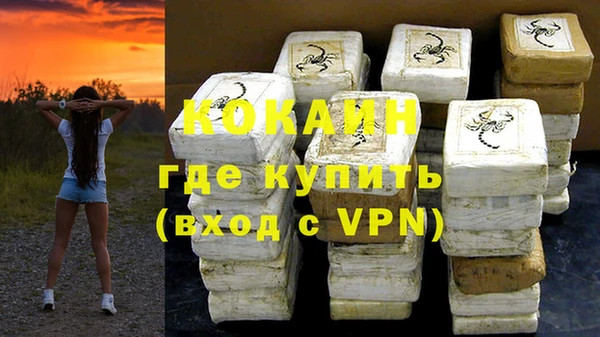 хмурый Аркадак