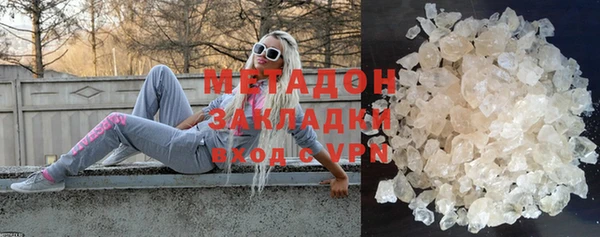 хмурый Аркадак