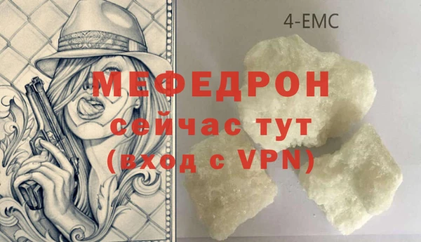 хмурый Аркадак