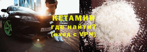 хмурый Аркадак